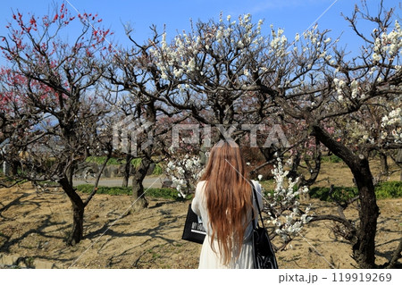 梅林散策・1(岐阜県安八郡安八町:安八百梅園) 梅林散策・1(岐阜県安八郡安八町:安八百梅園) 119919269