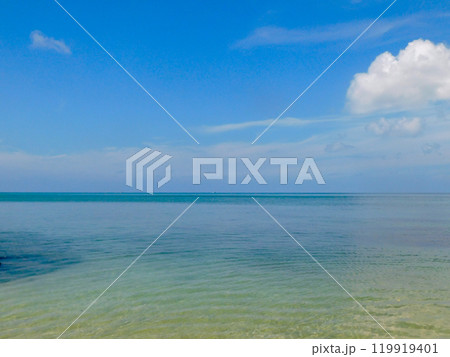 石垣島サビチ洞を抜けた海 119919401