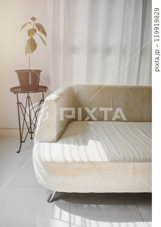 mould on sofa mould on sofa 119919829