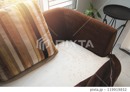 mould on sofa mould on sofa 119919832