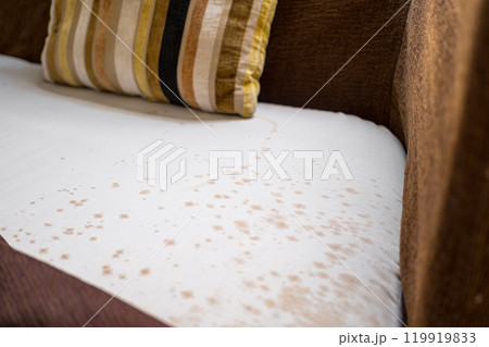 mould on sofa 119919833