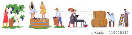 Stages Of Winemaking From Grape Harvesting And Stomping To Fermentation, Aging In Barrels And Tasting Stages Of Winemaking From Grape Harvesting And Stomping To Fermentation, Aging In Barrels And Tasting 119920112
