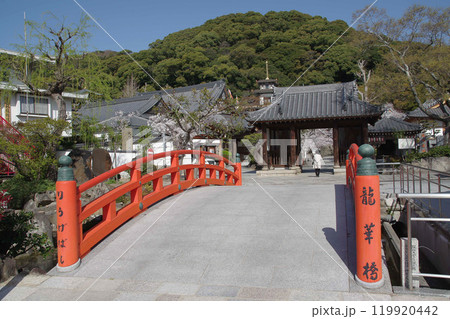 須磨寺の龍華橋 119920442