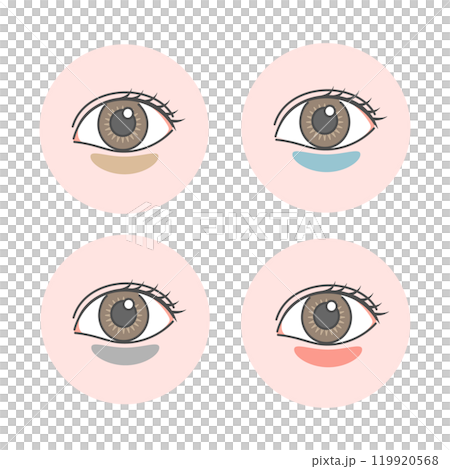 目のクマの種類イラストセット（説明なし） 119920568
