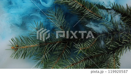 Fog pine branch. Smoke cloud. Green tree plant in blue color ink water splash mist floating wave spreading abstract background. Fog pine branch. Smoke cloud. Green tree plant in blue color ink water splash mist floating wave spreading abstract background. 119920587