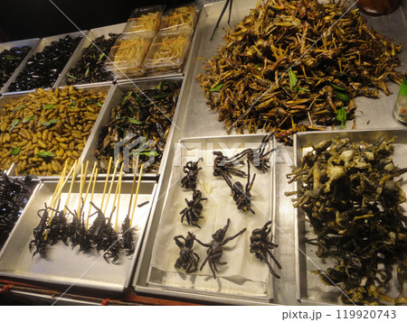 Trays filled with various fried insects and arachnids on display at a street market in the famous Khao San road in Bangkok Thailand that shows the authentic exotic local thai delicacy 119920743