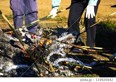 道祖神祭　シニア 119920842