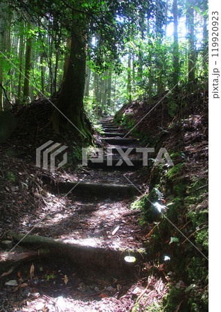 横峰寺へのみち・遍路道(愛媛県・西条市) 横峰寺へのみち・遍路道(愛媛県・西条市) 119920923