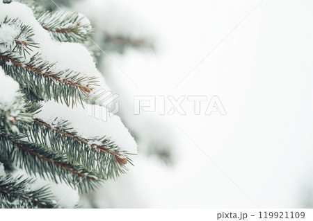 Abstract Winter Background for Product Presentation 119921109