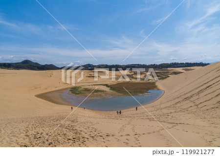 日本の鳥取砂丘にあるオアシスの風景 119921277
