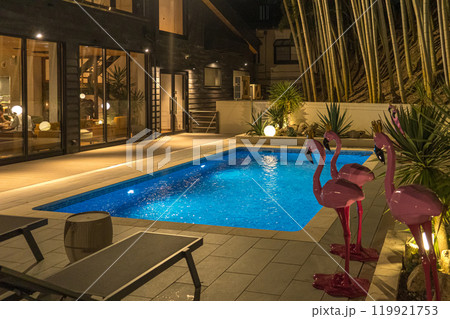 多くのパリピが集まるナイトプールの風景 119921753