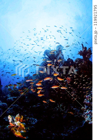 バラス東の根のイソバナとキンギョハナダイ 119921795