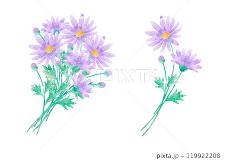 ブラキカム 119922208