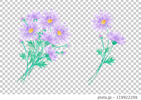 ブラキカム 119922208