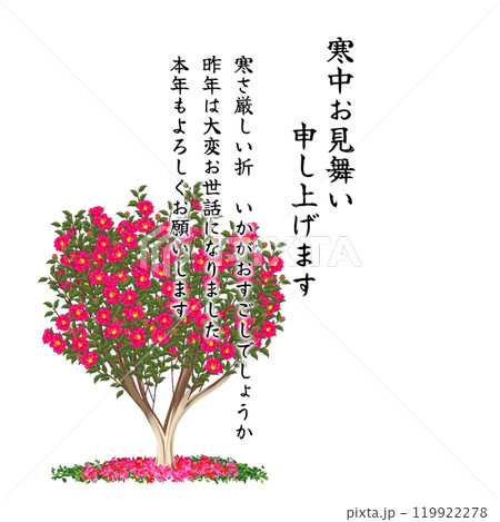 寒中見舞いテンプレート(山茶花) 119922278