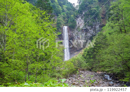 新緑の中の平湯大滝(奥飛騨温泉郷・平湯温泉) 新緑の中の平湯大滝(奥飛騨温泉郷・平湯温泉) 119922457