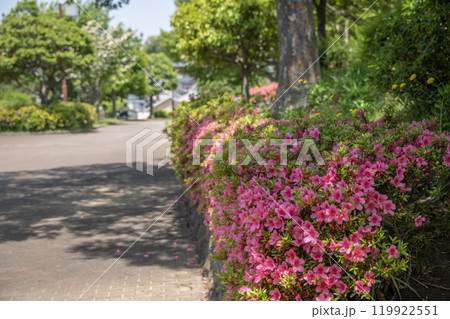 富岡西公園 神奈川県横浜市金沢区富岡西 富岡西公園 神奈川県横浜市金沢区富岡西 119922551