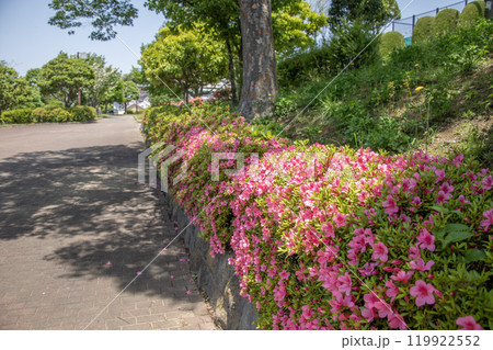 富岡西公園 神奈川県横浜市金沢区富岡西 富岡西公園 神奈川県横浜市金沢区富岡西 119922552
