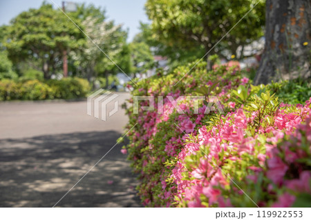 富岡西公園　神奈川県横浜市金沢区富岡西 119922553