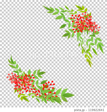 Nanten decoration Nanten decoration 119922641