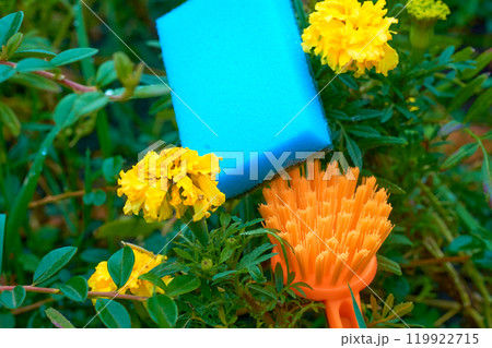 Orange brush,blue sponge for cleaning on green bushes Orange brush,blue sponge for cleaning on green bushes 119922715