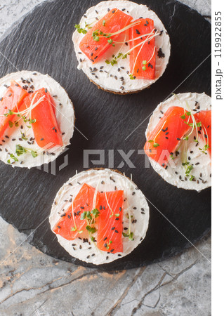 Smoked Salmon cheesecake breakfast sandwich toast closeup on slate plate. Vertical top view 119922855