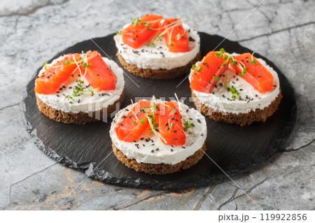 Healthy cheesecake sandwiches with red fish, cream cheese, sesame and microgreens close-up on slate plate. Horizontal 119922856