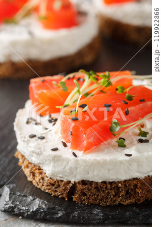 Savory cheesecake, open sandwich, toast with salmon, cream cheese, sesame and micro greens for healthy breakfast close-up on slate plate. Vertical Savory cheesecake, open sandwich, toast with salmon, cream cheese, sesame and micro greens for healthy breakfast close-up on slate plate. Vertical 119922866