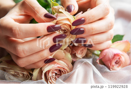 Elegant hands adorned with dark purple nails delicately hold soft pink roses Elegant hands adorned with dark purple nails delicately hold soft pink roses 119922928