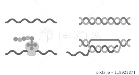 DNAとRNAとtRNA 119923871
