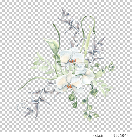 White orchids with soft green buds watercolor arrangement isolated. White flowers, rippled stems and vines hand drawn in soft colors. Delicate floral illustration painted in botanical sketch style. 119925049