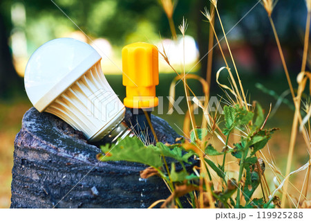 An orange screwdriver, a white LED lamp in an old stump in nature An orange screwdriver, a white LED lamp in an old stump in nature 119925288