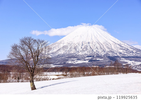 北海道京極町、望羊の丘から眺めた初春の羊蹄山【4月】 北海道京極町、望羊の丘から眺めた初春の羊蹄山【4月】 119925635