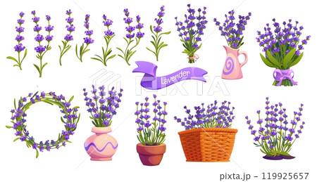 Lavender flowers in flowerpots, wreath and bouquets, vector Provence or French design. Cartoon lavender flowers in pink pots and wicker basket with ribbon banner for wedding or garden herb cosmetics 119925657
