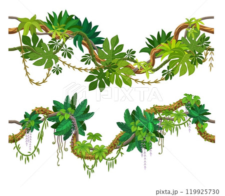Tropical jungle forest liana branch intertwined and cascading with an array of green leaves. Cartoon vector green foliage spinney, dense flora of rainforest ecosystem with climbing roots and thickets 119925730