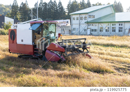 秋の蕎麦の収穫 119925775