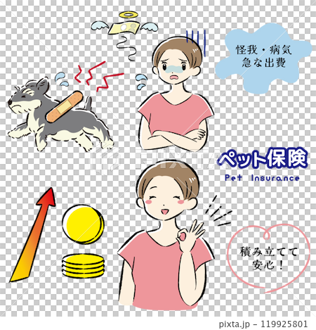 一隻受傷的狗及其難以支付治療費用的女主人的插圖集 119925801