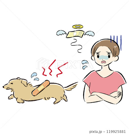 怪我をした犬と心配する飼い主の女性のイラストセット 119925881