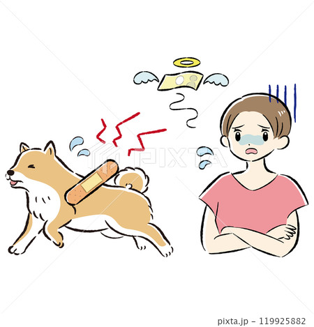 怪我をした犬と心配する飼い主の女性のイラストセット 怪我をした犬と心配する飼い主の女性のイラストセット 119925882