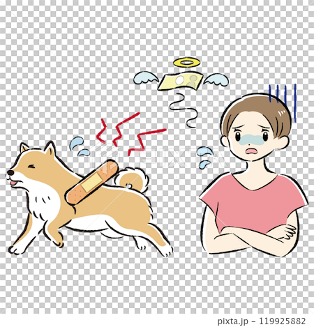 怪我をした犬と心配する飼い主の女性のイラストセット 怪我をした犬と心配する飼い主の女性のイラストセット 119925882