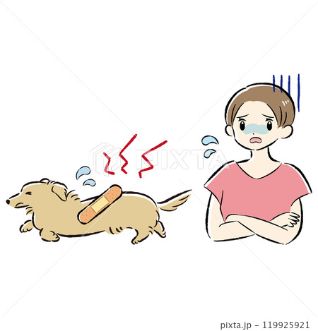 怪我をした犬と心配する飼い主の女性のイラストセット 119925921