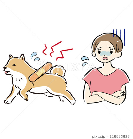 怪我をした犬と心配する飼い主の女性のイラストセット 119925925