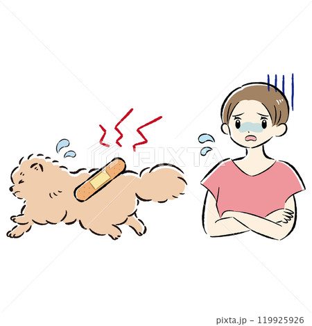怪我をした犬と心配する飼い主の女性のイラストセット 119925926