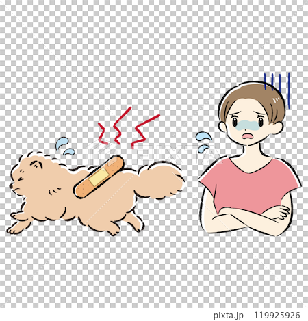 Illustration set of an injured dog and a worried female owner Illustration set of an injured dog and a worried female owner 119925926