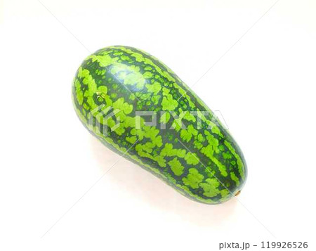 スイカ　すいか　西瓜　うり坊 119926526