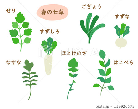 春の七草をイメージしたイラスト 119926573