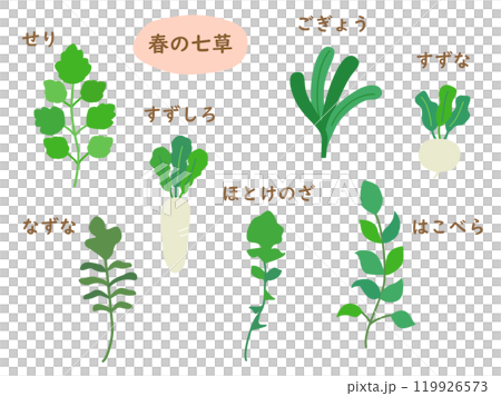 春の七草をイメージしたイラスト 119926573