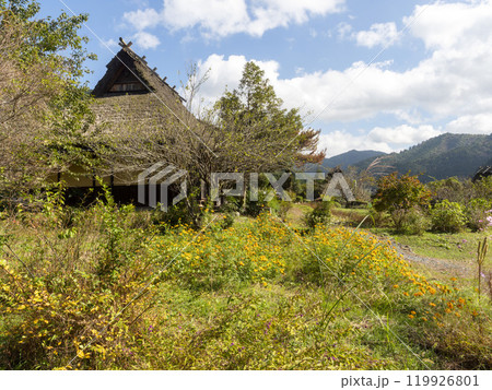 秋の花が咲く美山かやぶきの里 秋の花が咲く美山かやぶきの里 119926801