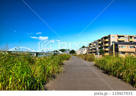 多摩川左岸から観る丸子橋と武蔵小杉のタワーマンション群の風景 119927035