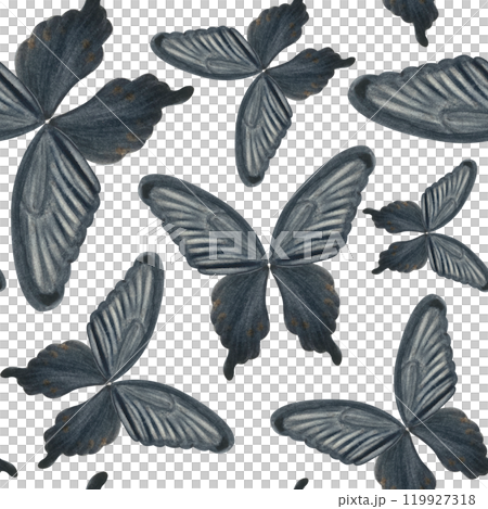 Black Swallowtail butterfly hand painted watercolor seamless pattern isolated on white. Perfect for scrapbooking, wrapping paper, scarfs, handbags, textile, stationary, cards design. Black and white Black Swallowtail butterfly hand painted watercolor seamless pattern isolated on white. Perfect for scrapbooking, wrapping paper, scarfs, handbags, textile, stationary, cards design. Black and white 119927318